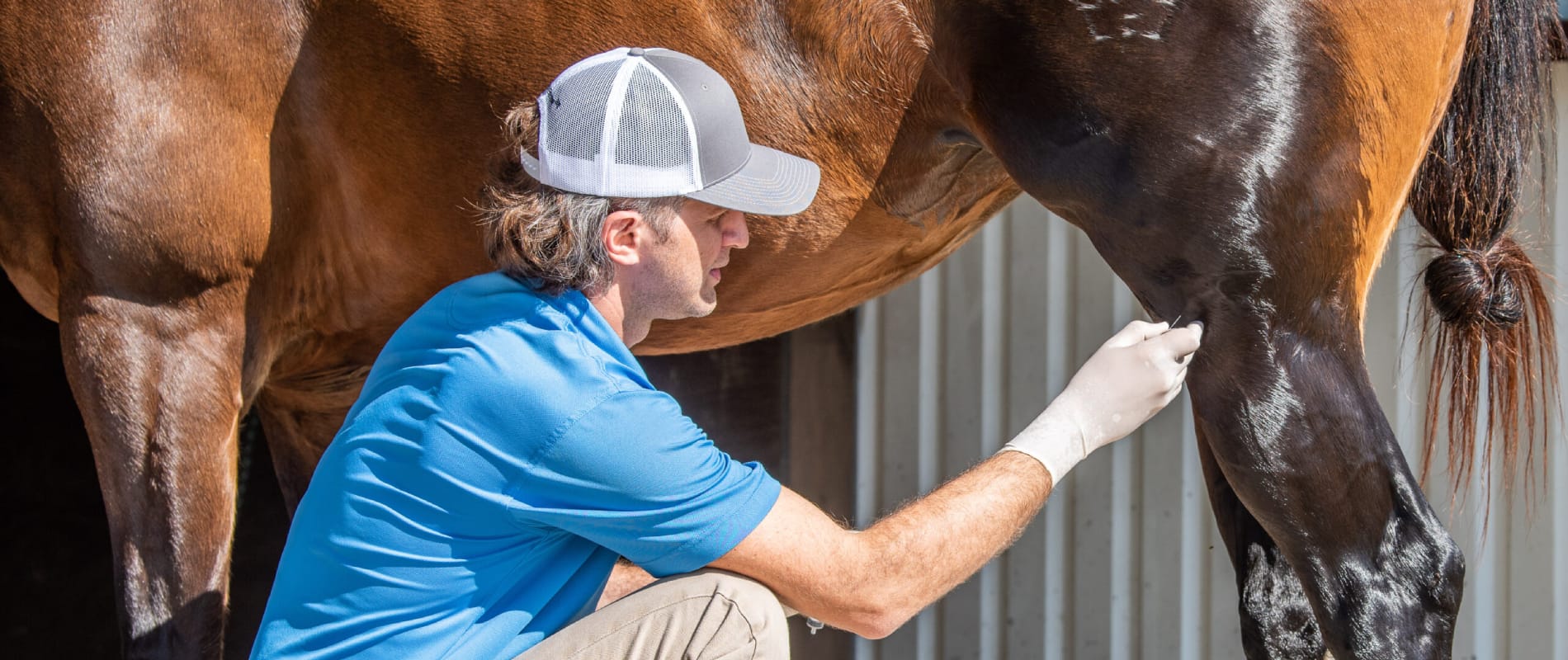 REGENERATIVE THERAPY – Alpha -2M, PRP, Stem Cell, Pro-Stride (APS)